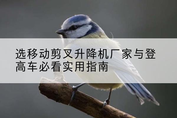 吴桥电动升降机厂家-选移动剪叉升降机厂家与登高车必看实用指南