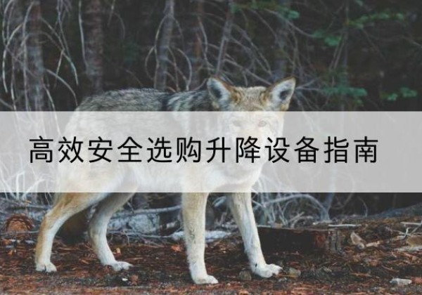 吴桥升降货梯厂家推荐-*安全选购升降设备指南