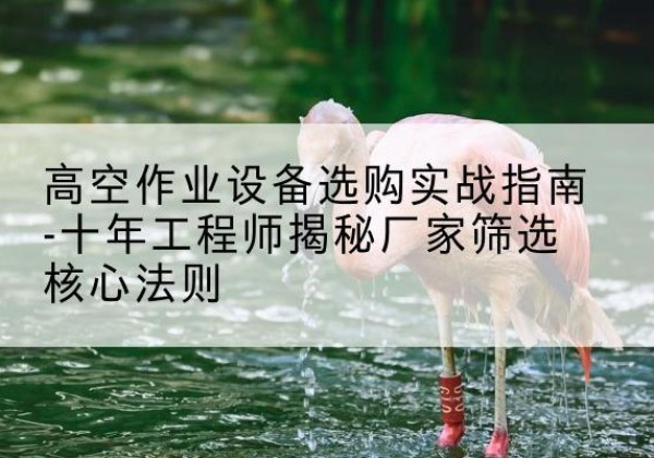 吴桥剪叉式升降机厂家-高空作业设备选购实战指南-十年工程师揭秘厂家筛选核心法则